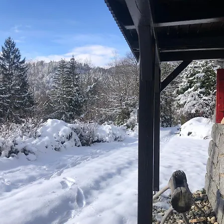 Braunkopf Alsace Muhlbach-sur-Munster