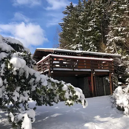 Braunkopf Alsace Muhlbach-sur-Munster