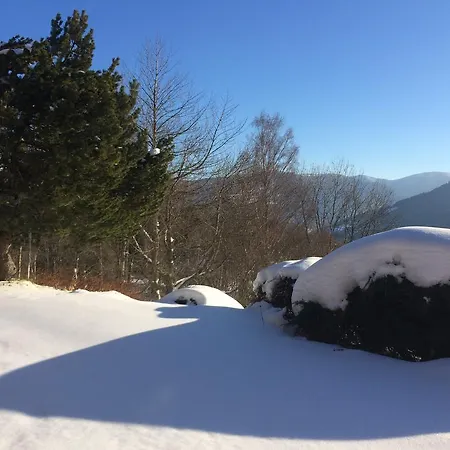 シャレー Braunkopf Alsace Muhlbach-sur-Munster