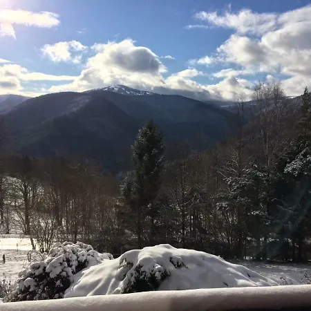 Braunkopf Alsace * Muhlbach-sur-Munster