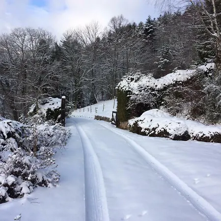Braunkopf Alsace * Muhlbach-sur-Munster