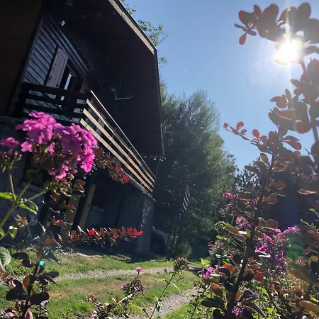 Domek alpejski Braunkopf Alsace Muhlbach-sur-Munster