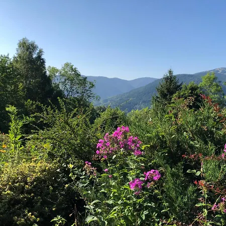 Braunkopf Alsace * Muhlbach-sur-Munster